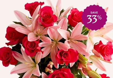 Header navigation sub menu